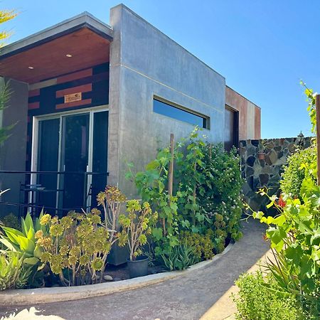 Entre Vides Valle De Guadalupe Ngoại thất bức ảnh