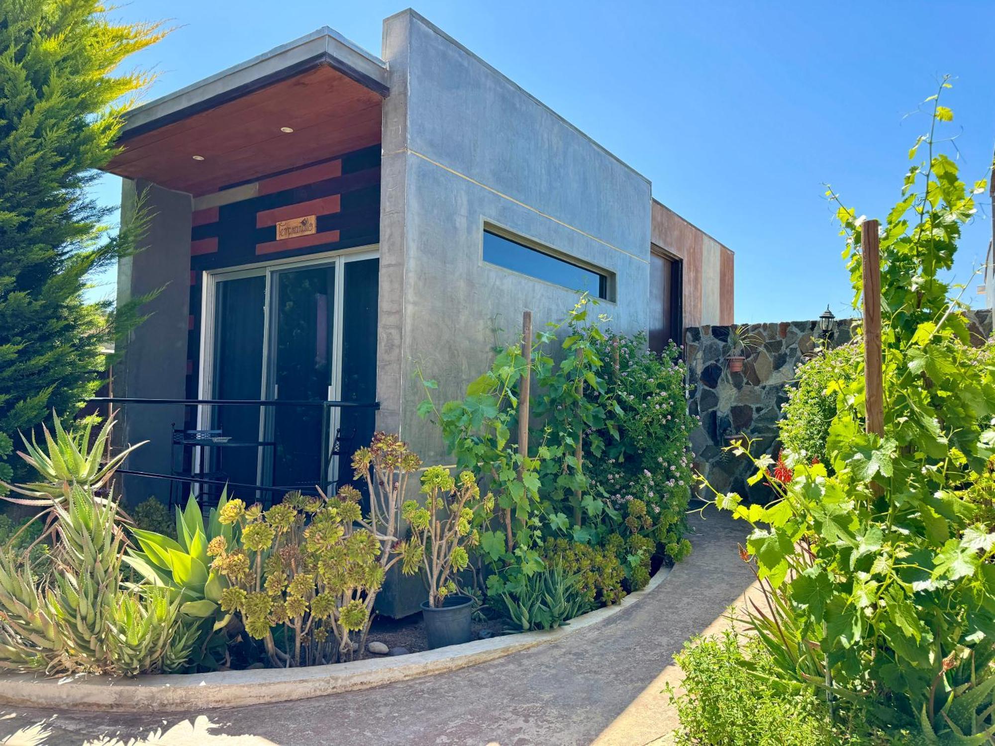 Entre Vides Valle De Guadalupe Ngoại thất bức ảnh