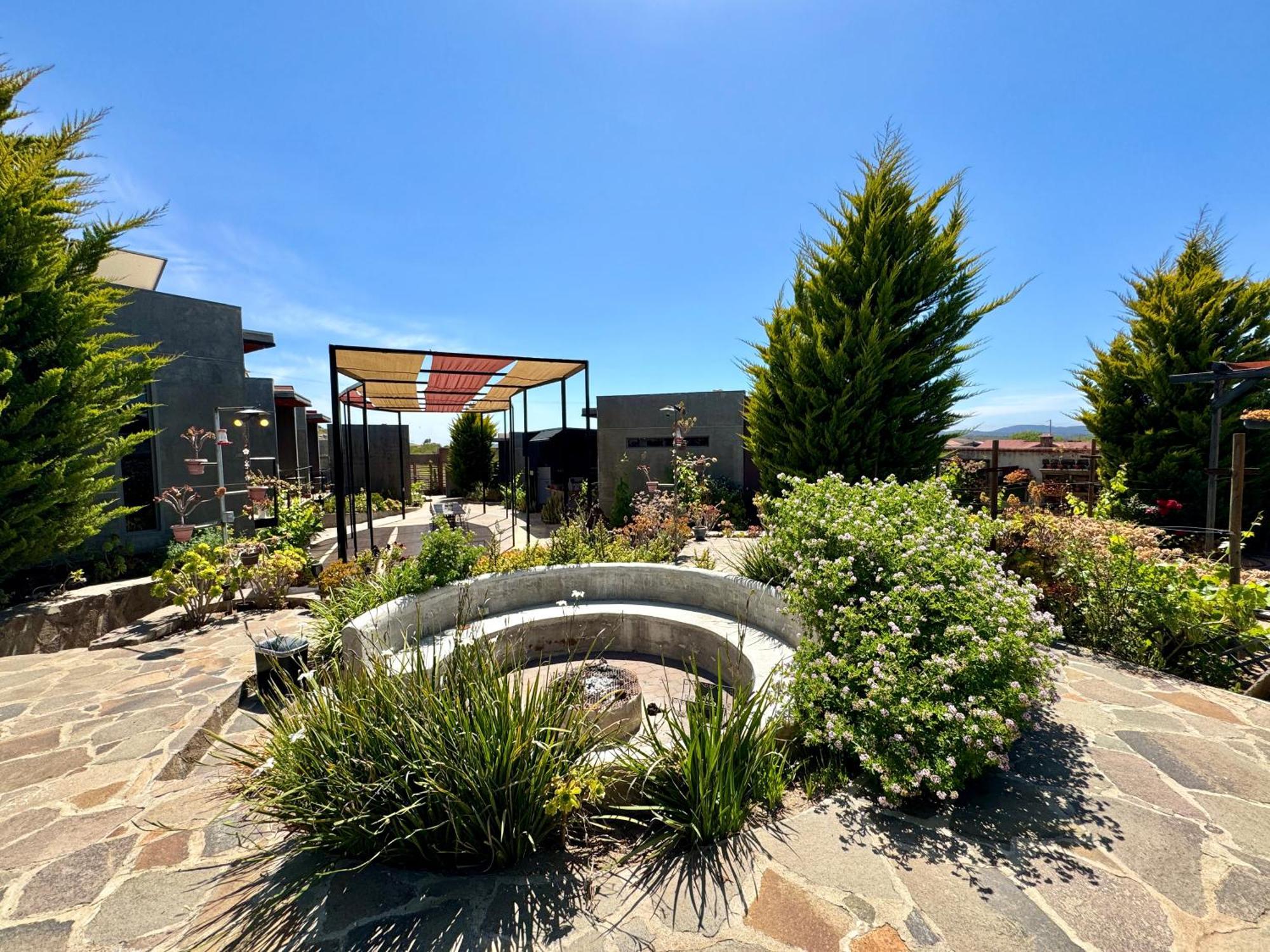 Entre Vides Valle De Guadalupe Ngoại thất bức ảnh