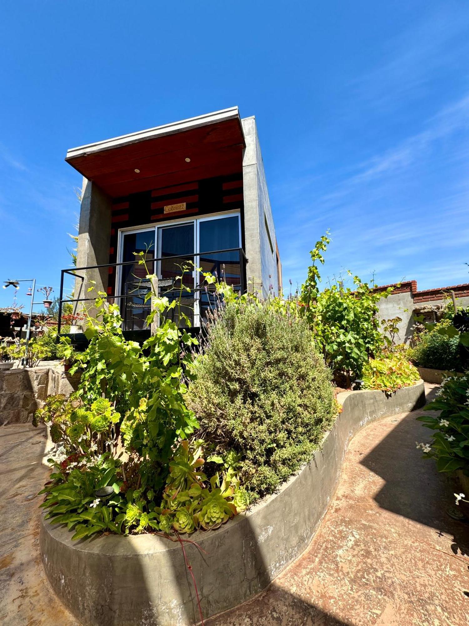 Entre Vides Valle De Guadalupe Ngoại thất bức ảnh